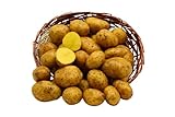 BAMELO® Kartoffeln Annabelle festkochend aktuellen Ernte aus der Rheinland 12,5 KG