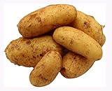 Bleichhof 5kg Ernte 2024 Annabelle Kartoffeln aus der Pfalz - Sorte: Annabelle festkochend Salatkartoffel