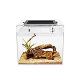 Reptile Growth Mini PC Terrarium, 8' x 8'x 8'Faunarium für,Schnecken,Insekten,Vogelspinnen,Springspinne,Leopard Gecko，Einsiedlerkrebs