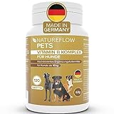 NATUREFLOW Vitamin B Komplex Hund Made in Germany - Hochdosierte B Vitamine für Hunde ab 15kg - 120 Vitamintabletten - Ergänzt um K3, Folsäure, Calcium und Biotin für Hunde