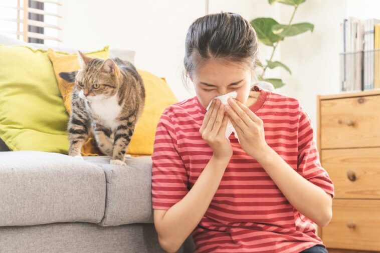 Frau mit Katzenallergie