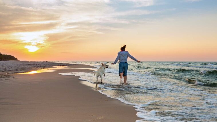 Frau tollt mit ihrem Hund über den Strand